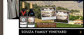 Featured website design - Souza family Vineyard