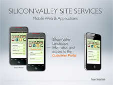 Silicon Valley Landscape Marketing Folder